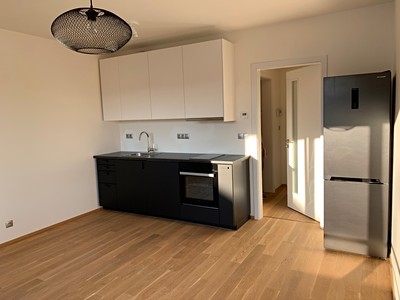 Pronájem bytu 1+kk 28 m² (Jednopodlažní)