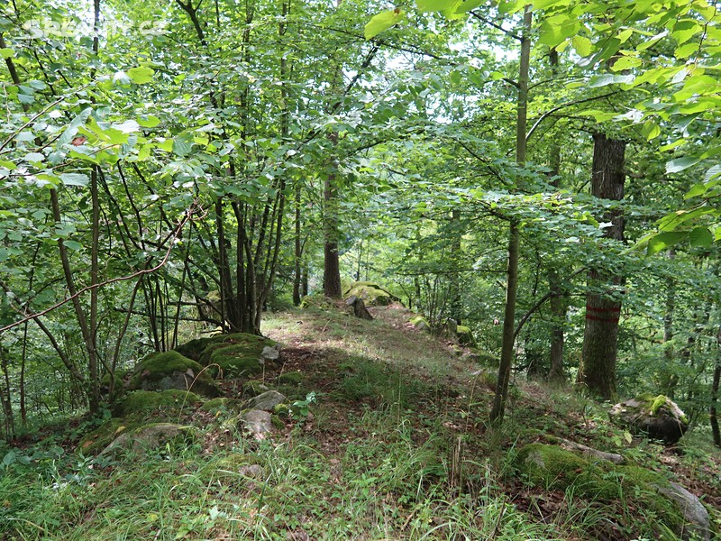Prodej  lesa 39 640 m² – další