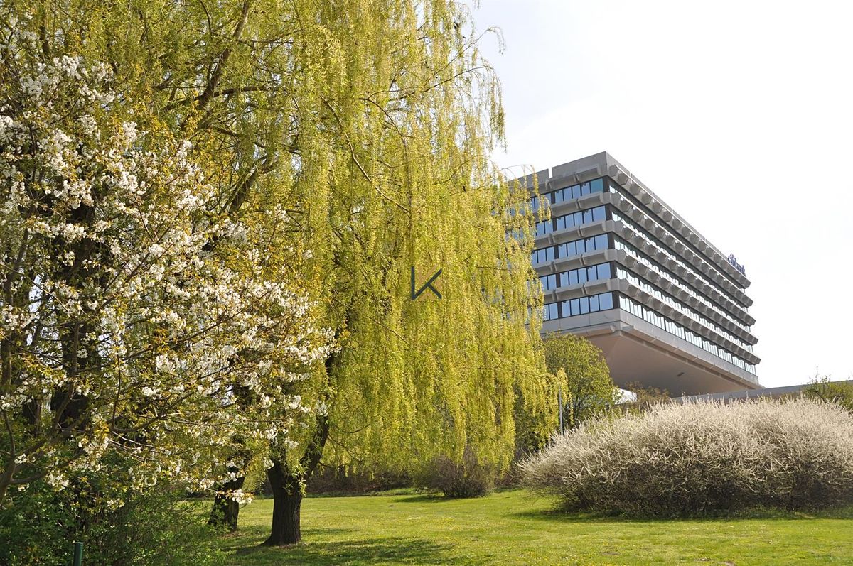Pronájem kanceláře 277 m²