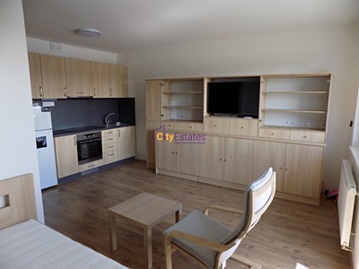 Pronájem bytu 1+kk 36 m² (Jednopodlažní)