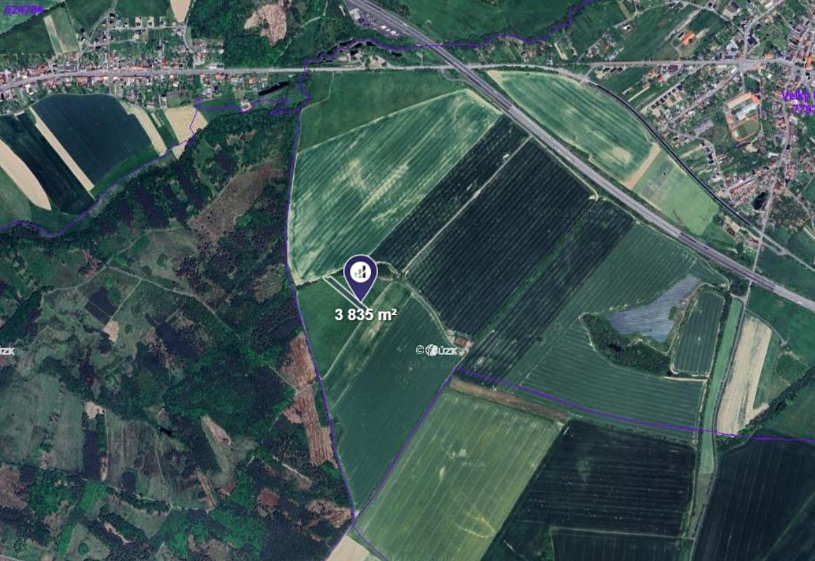 Prodej pole 3835 m² – fotografie 2