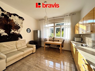 Pronájem bytu 2+1 100 m²