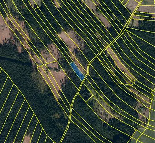 Prodej lesa 1295 m², Častrov – náhled fotky 3
