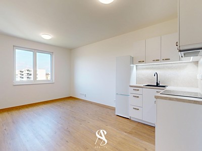Pronájem bytu 1+kk 39 m²