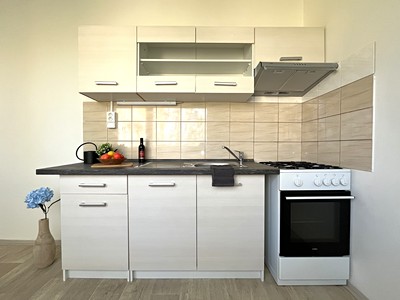 Pronájem bytu 3+1 65 m²