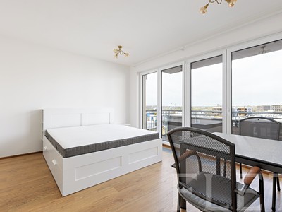 Pronájem bytu 1+kk 33 m²