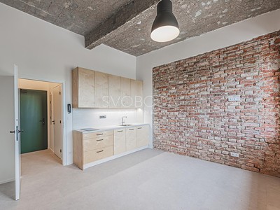 Pronájem bytu 1+kk 25 m² (Loft)
