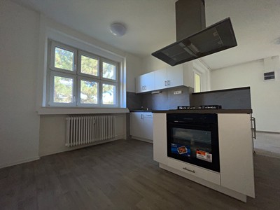 Pronájem bytu 4+1 111 m² (Jednopodlažní)