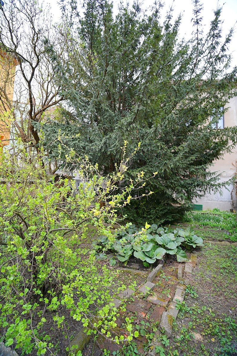 Prodej rodinného domu 132 m², pozemek 259 m² – fotografie 4