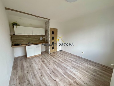Pronájem bytu 1+kk 29 m²