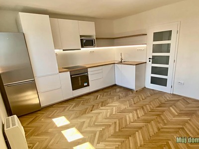 Pronájem bytu 2+kk 50 m² (Jednopodlažní)