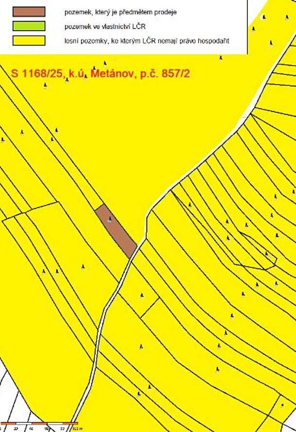 Prodej lesa 1295 m²