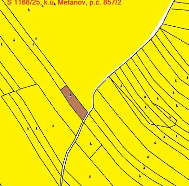 Prodej lesa 1295 m², Častrov – náhled fotky 1