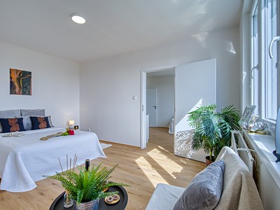 Pronájem bytu 1+1 35 m²
