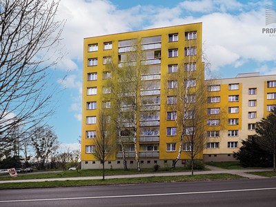 Prodej bytu 3+1 65 m² (Jednopodlažní)