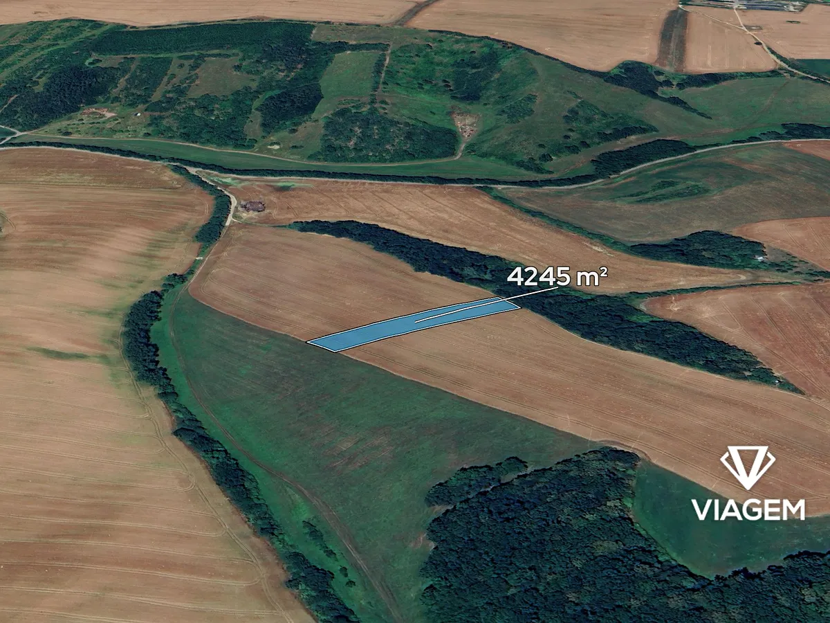 Prodej podílu 1/8 pole 530 m²
