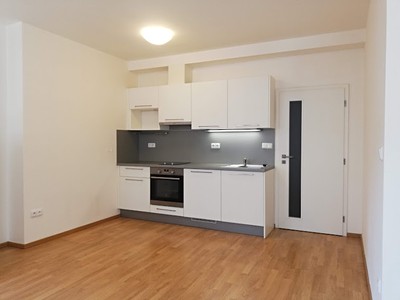 Pronájem bytu 1+kk 38 m²