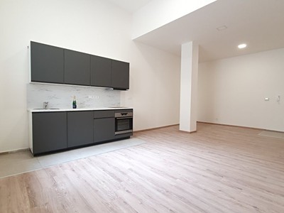 Pronájem bytu 1+kk 47 m²