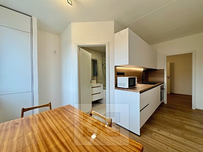 Pronájem bytu 2+1 55 m²