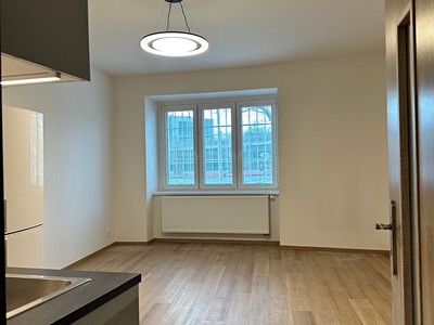 Pronájem bytu 1+kk 35 m²