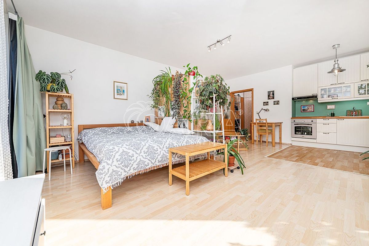 Prodej bytu 1+kk 39 m² (Jednopodlažní)