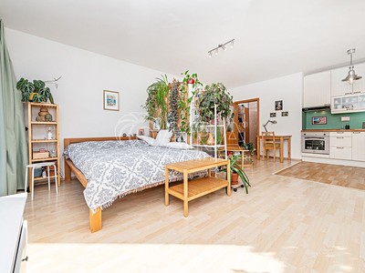 Prodej bytu 1+kk 39 m² (Jednopodlažní)