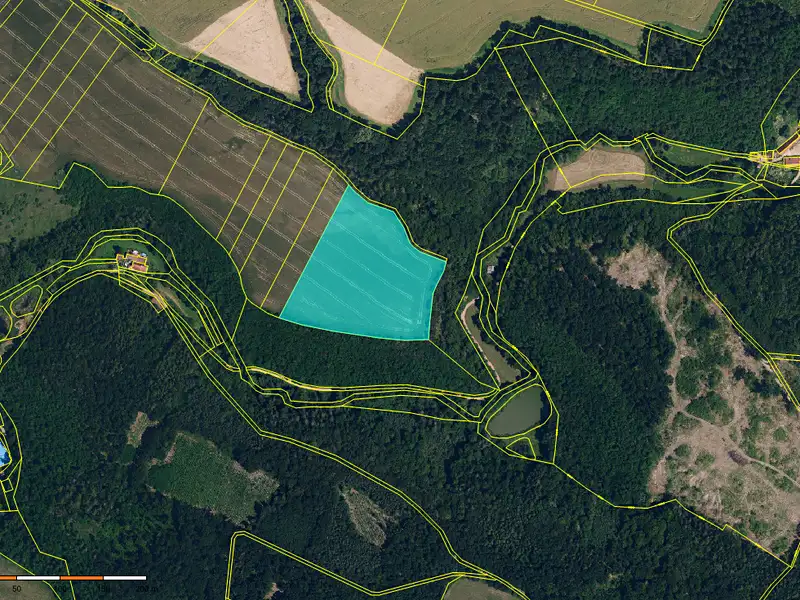 Prodej pole 38229 m², Hluboké Mašůvky – náhled fotky 2