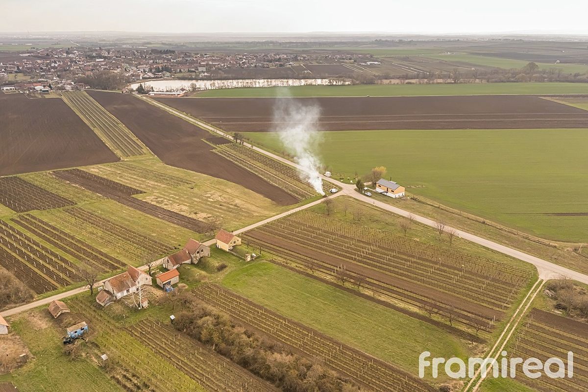 Prodej sadu, vinice 2781 m² – fotografie 3
