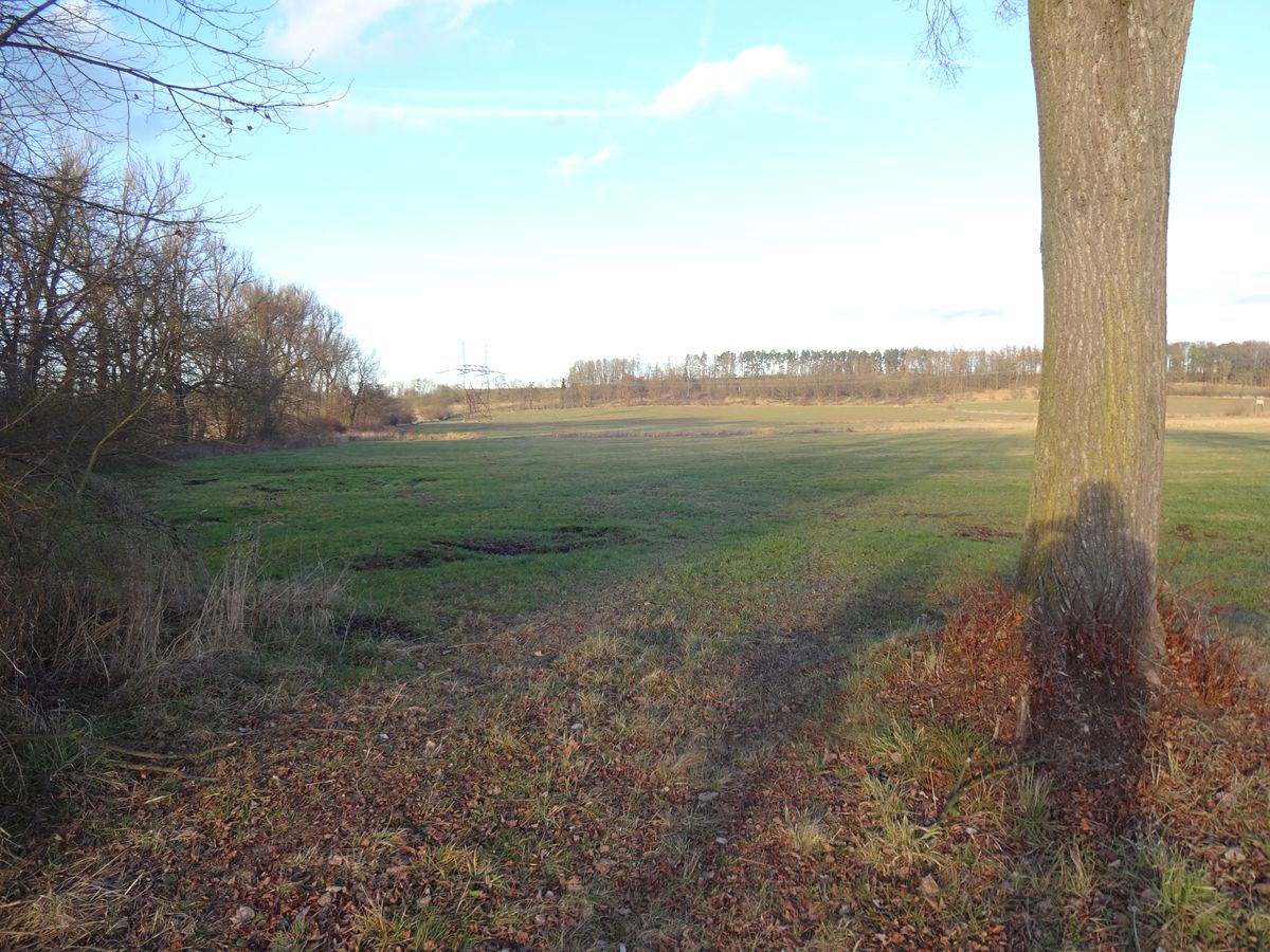 Prodej pole 1803 m², Veselí nad Lužnicí – fotka 1 z 3