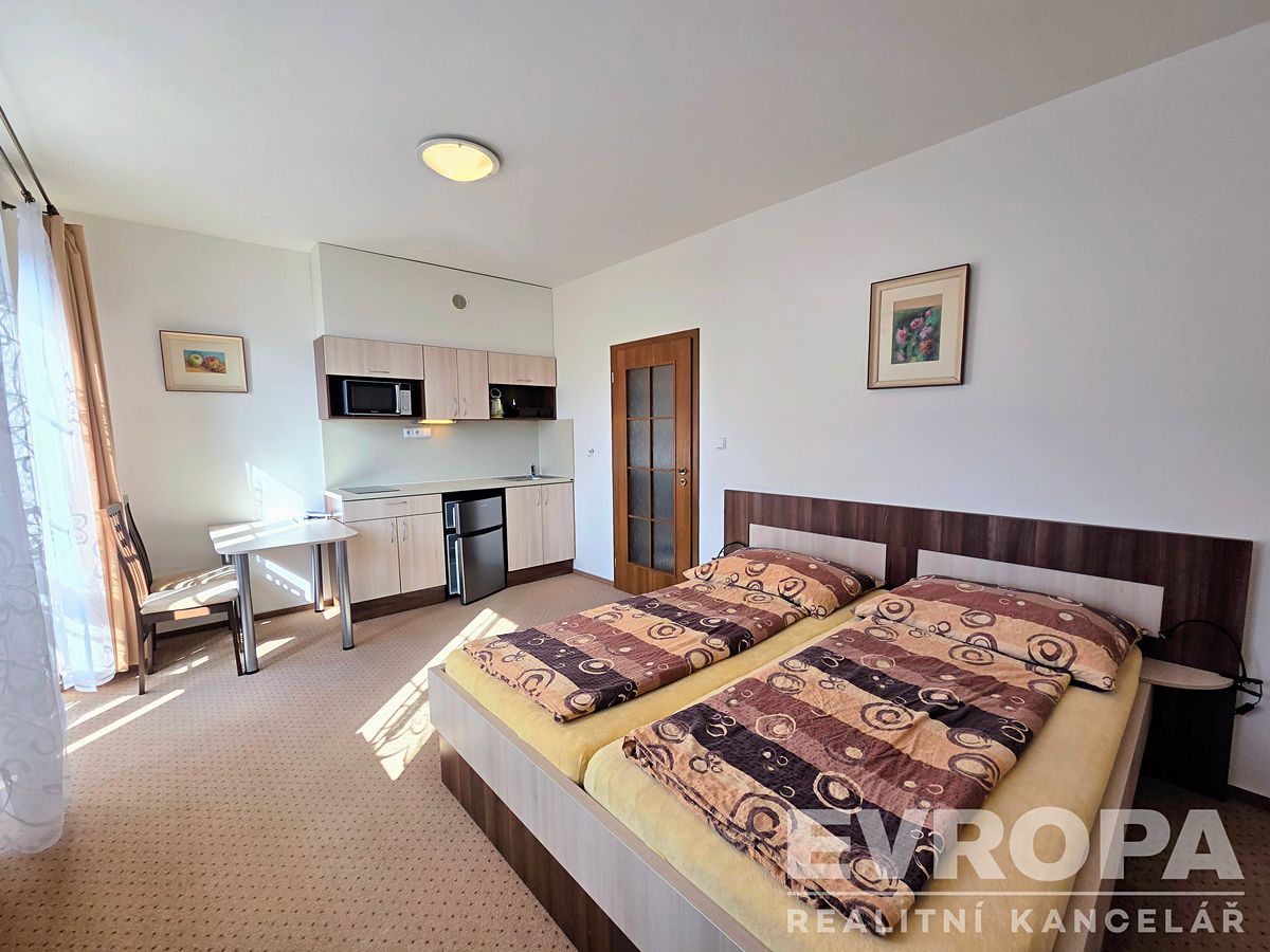 Pronájem bytu 1+kk 31 m²