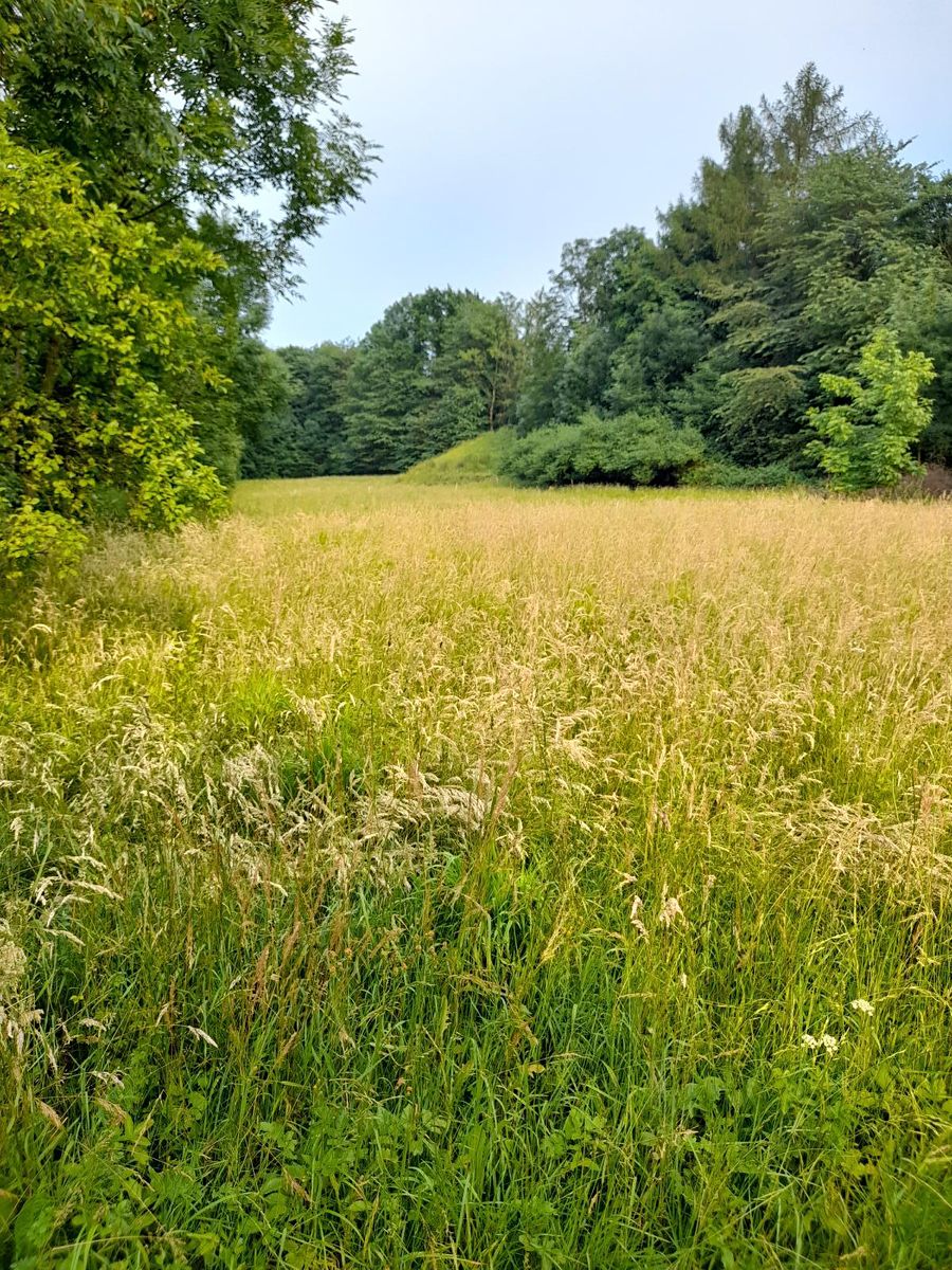 Pronájem pole 510 m² – fotografie 3
