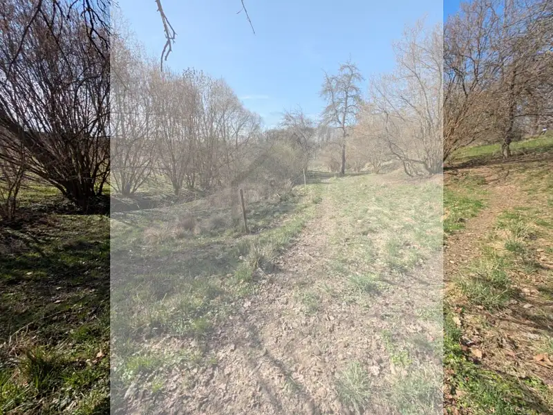 Prodej stavebního pozemku 1747 m², Počaply – náhled fotky 2