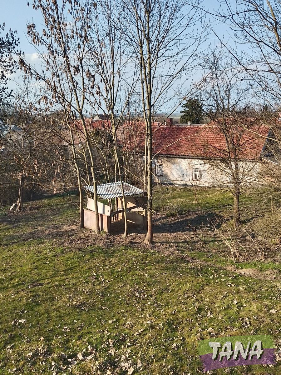Prodej rodinného domu 145 m², pozemek 3028 m² – fotografie 3