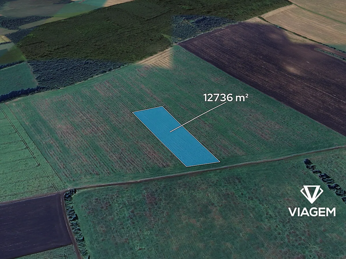 Prodej podílu 5/81 pole 786 m²