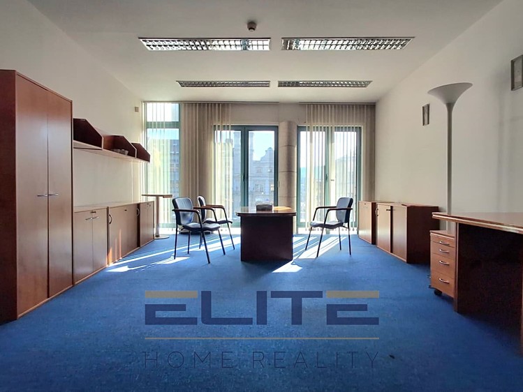 Pronájem komerčního prostoru, 775 m² (4 z 37)
