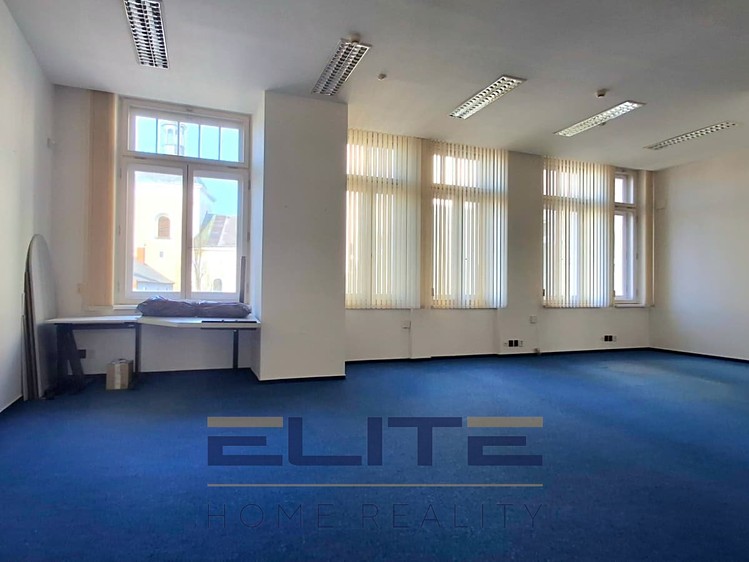 Pronájem komerčního prostoru, 775 m² (10 z 37)