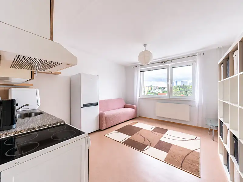 Prodej bytu 5+1 124 m², Praha – náhled fotky 2