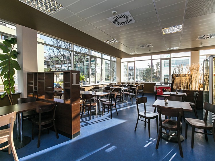 Pronájem komerčního prostoru, 393 m² (15 z 23)