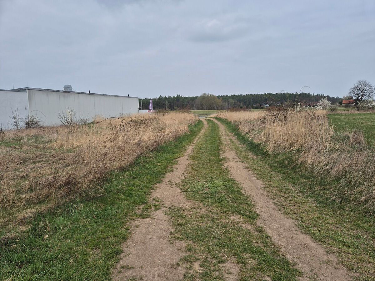 Prodej komerčního pozemku 2917 m² – fotografie 5