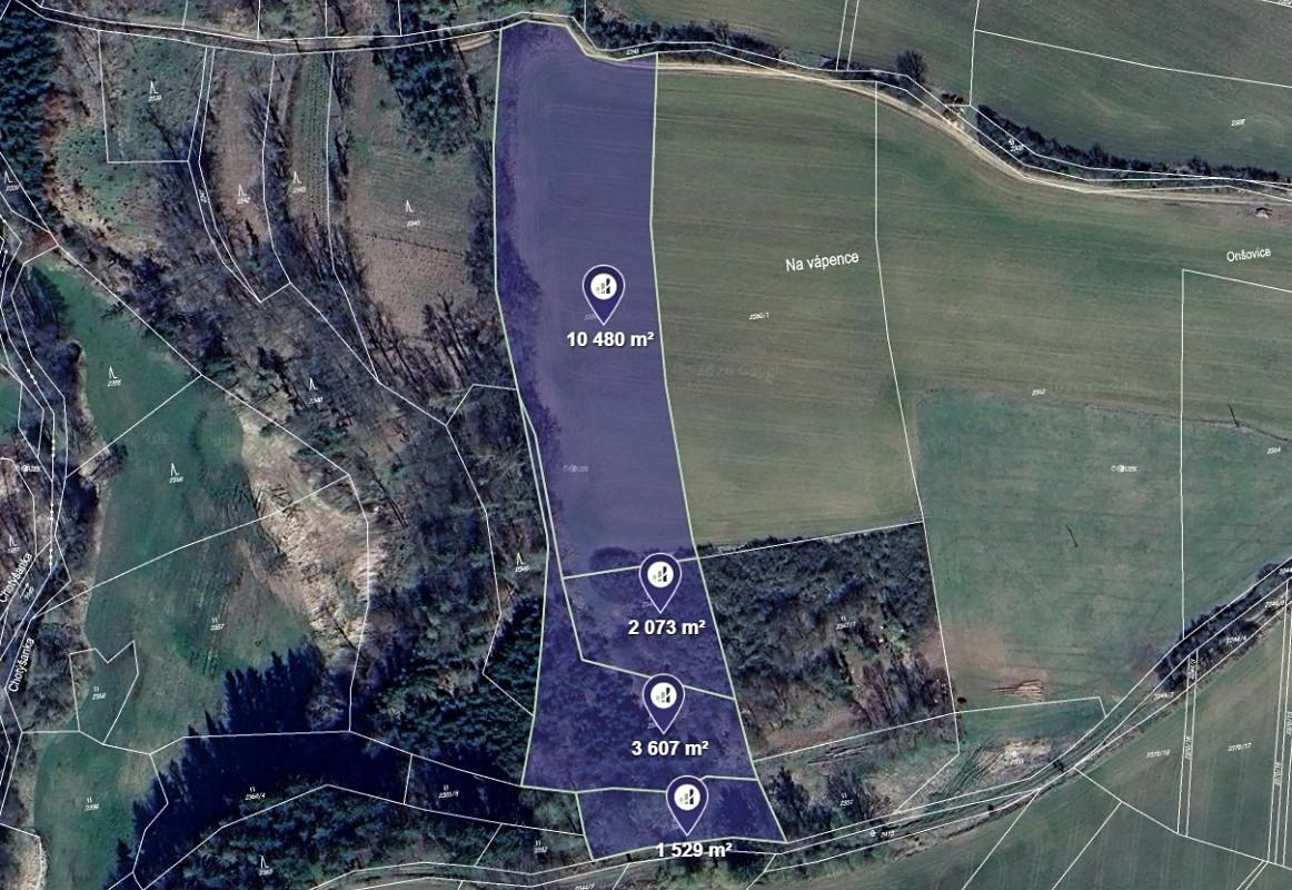 Prodej pole 17689 m², Radošovice – fotka 1 z 3