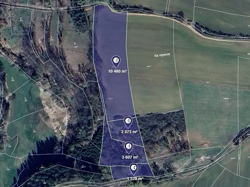 Prodej pole 17689 m², Radošovice – náhled fotky 1