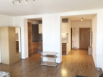 Pronájem bytu 1+kk 46 m²