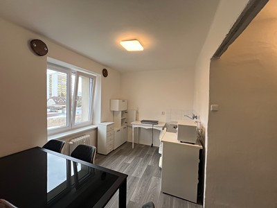 Pronájem bytu 1+1 30 m² (Jednopodlažní)