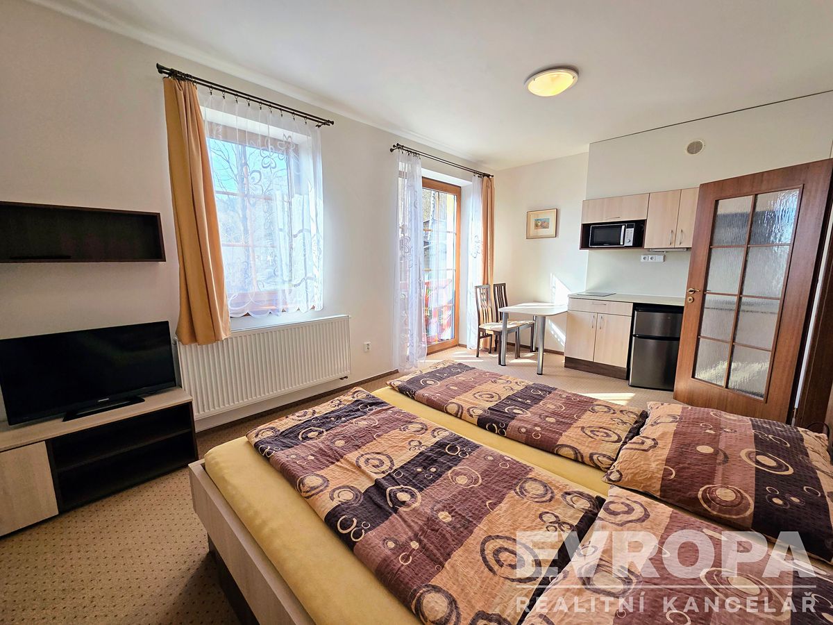 Pronájem bytu 1+kk 31 m² – fotografie 5