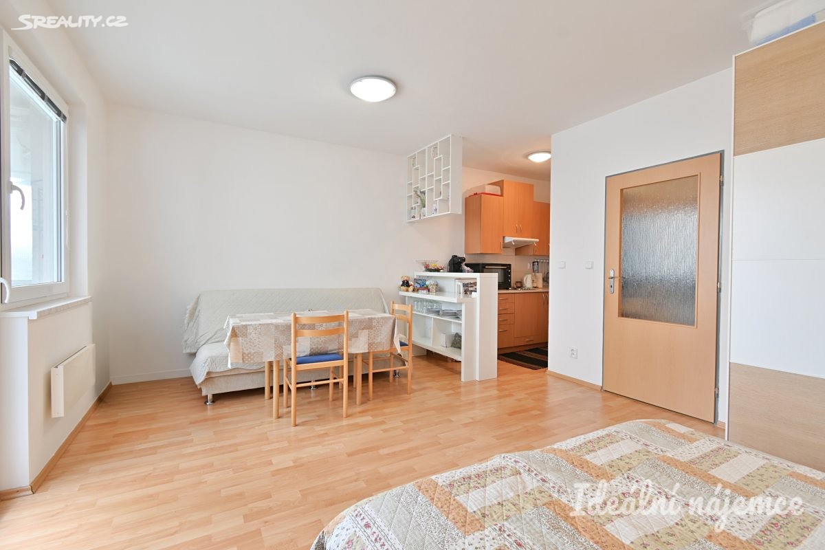 Pronájem bytu 1+kk 30 m², Brno