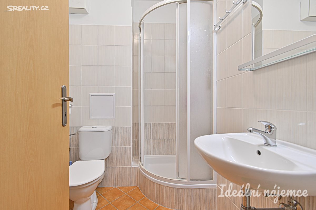 Pronájem bytu 1+kk 30 m² – další