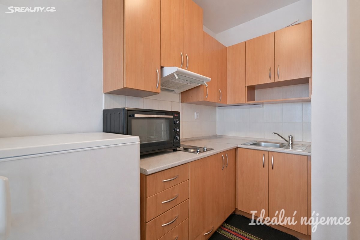 Pronájem bytu 1+kk 30 m² – pohled 5