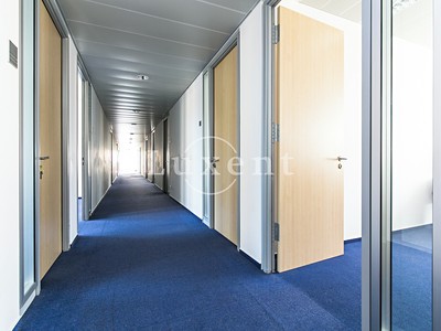 Pronájem komerčního prostoru, 393 m² (2 z 23)