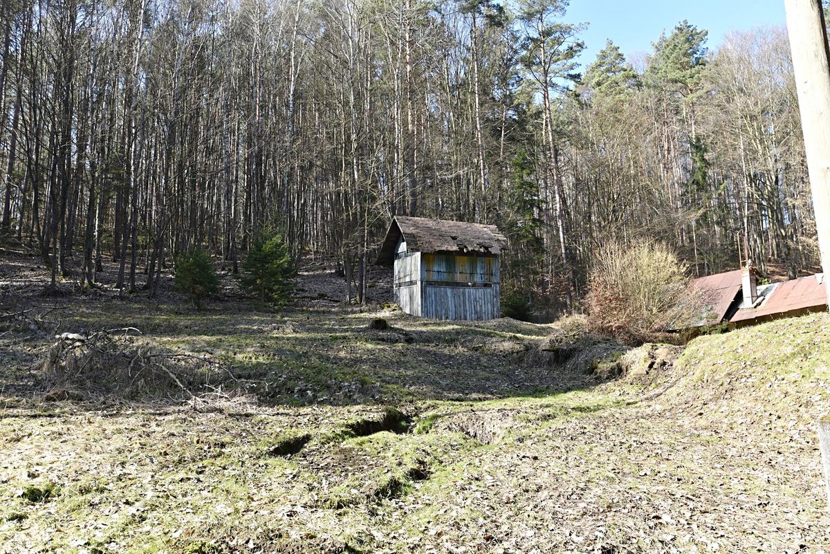 Prodej stavebního pozemku 3659 m² – fotografie 4