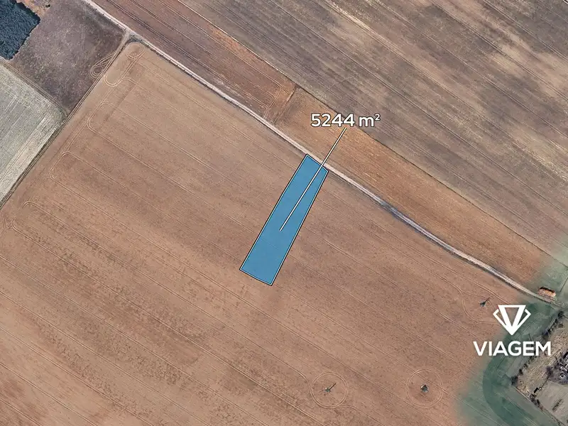 Prodej pole 5244 m², Kostelní Hlavno – náhled fotky 2